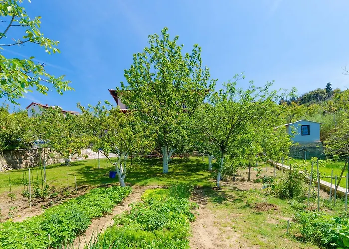 Grga Apartmán *